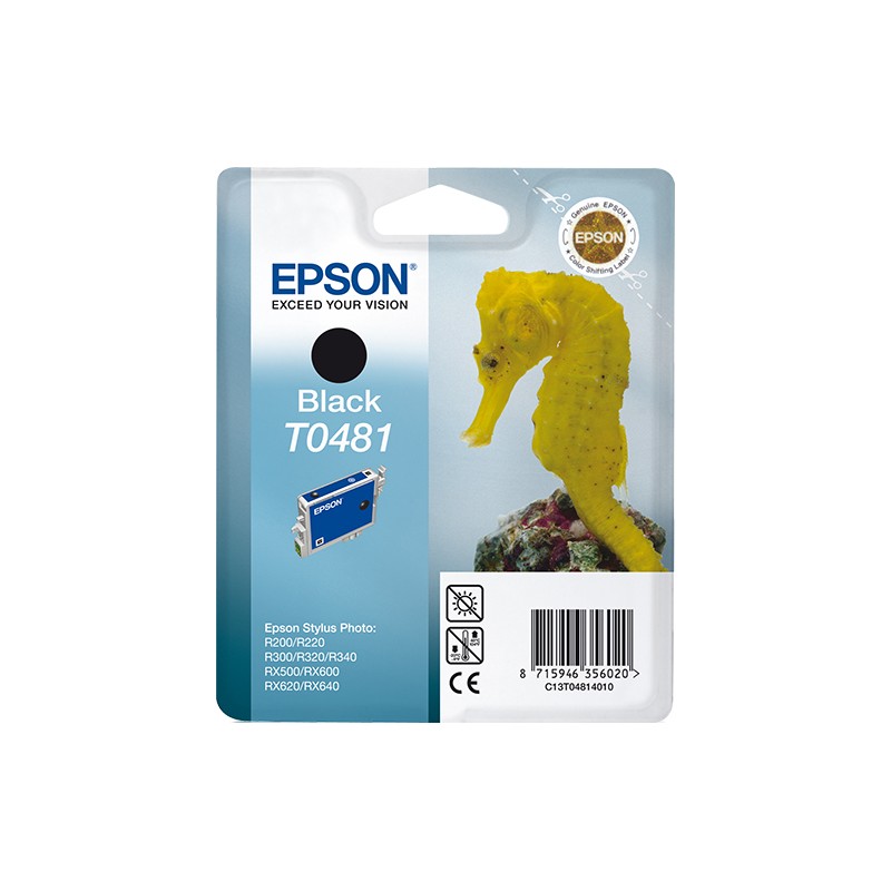 epson-encre-t0481-noir-c13t04814010-13ml-stylusphoto-r300-rx500-1.jpg