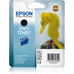 epson-encre-t0481-noir-c13t04814010-13ml-stylusphoto-r300-rx500-2.jpg
