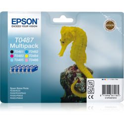 epson-encre-t0487-multipack-c13t04874010-ve-je-1-x-cyan-magenta-jaune-noir-light-cyan-light-magenta-2.jpg
