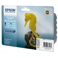 epson-encre-t0487-multipack-c13t04874010-ve-je-1-x-cyan-magenta-jaune-noir-light-cyan-light-magenta-3.jpg