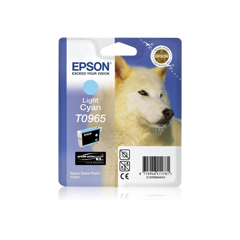 epson-encre-light-cyan-c13t09654010-stylus-photo-r2800-1.jpg