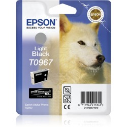 epson-encre-light-noir-c13t09674010-stylus-photo-r2800-1.jpg