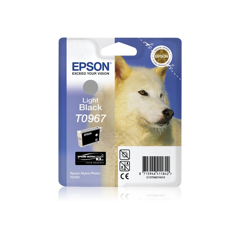 epson-encre-light-noir-c13t09674010-stylus-photo-r2800-1.jpg