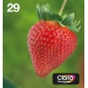 epson-multipack-4-couleurs-29-easymail-1.jpg