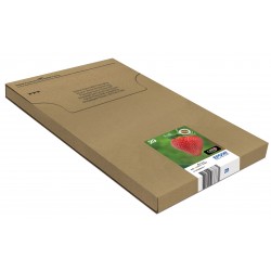 epson-multipack-4-couleurs-29-easymail-5.jpg