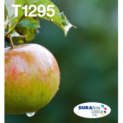 epson-t129-durabrite-ultra-encre-easymail-multipack-1.jpg