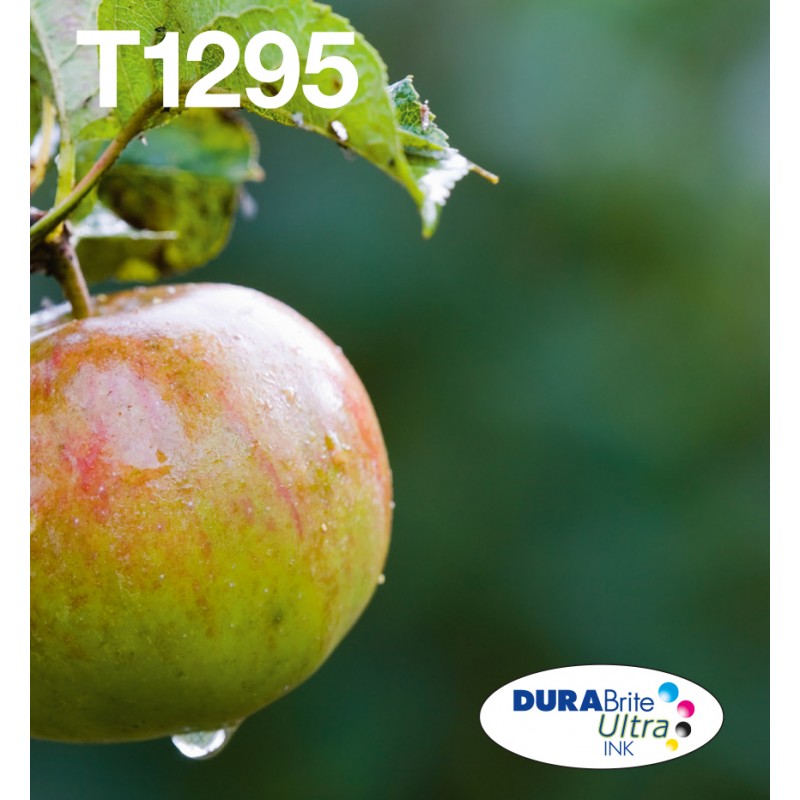 epson-t129-durabrite-ultra-encre-easymail-multipack-1.jpg