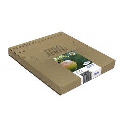 epson-t129-durabrite-ultra-encre-easymail-multipack-4.jpg
