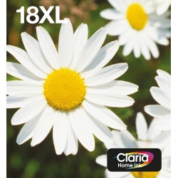epson-multipack-4-colours-18xl-easymail-1.jpg