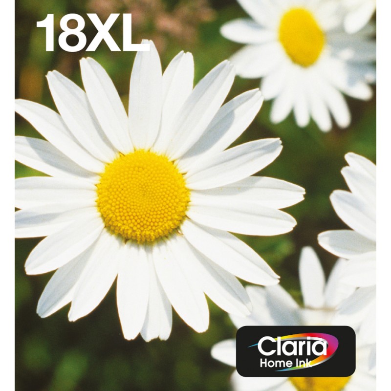 epson-multipack-4-colours-18xl-easymail-1.jpg