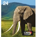 EPSON EasyMail MP Eléphant-Claria Photo HD N,C,M,J,Cc,Mc
