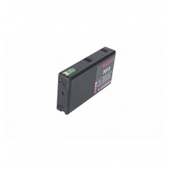 C13T70134010 / PYRAMIDE...