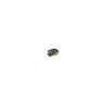 C13S050606 / C13S050602...