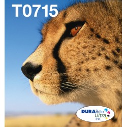 epson-easymail-mp-guepard-durabrite-ultra-cmyk-1.jpg
