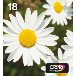 epson-easymail-mp-pquerette-claria-multipack-home-cmyk-1.jpg