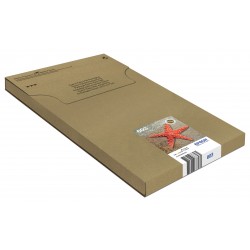 epson-multipack-4-colours-603-easymail-1.jpg
