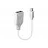 Lindy Kabel / Adapter 0.15...