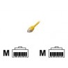 MCL Cable RJ45 Cat6 5.0 m...