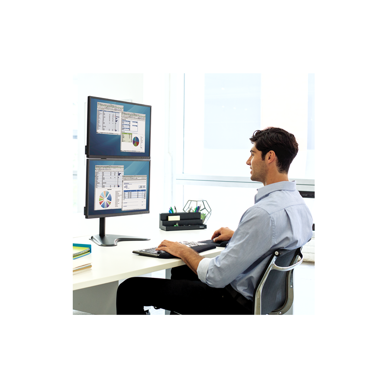 Techly ICA-MS-461 Support D'écran Plat Pour Bureau 81,3 Cm (32