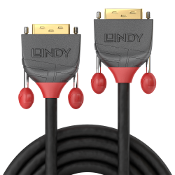 lindy-36228-cable-dvi-20-m-dvi-d-noir-2.jpg