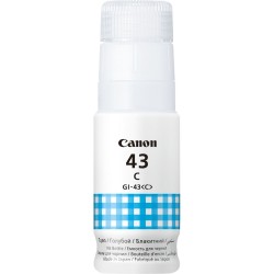 canon-gi-43c-originale-1.jpg