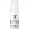 canon-gi-43gy-originale-1.jpg
