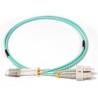 lenovo-00mn502-cable-de-fibre-optique-1-m-lc-om3-turquoise-1.jpg