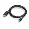 lenovo-0b47091-cable-displayport-2-m-mini-noir-1.jpg