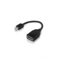 Lenovo 4X90L13971 câble DisplayPort Mini Noir