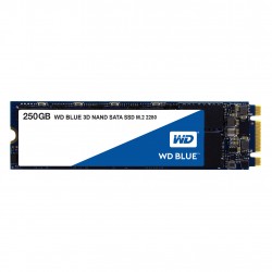 western-digital-blue-3d-m-2-250-go-1.jpg