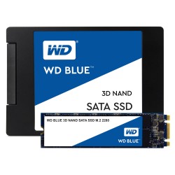 western-digital-blue-3d-m-2-250-go-2.jpg